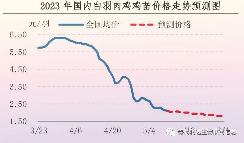 肉雞市場(chǎng)行情匯總