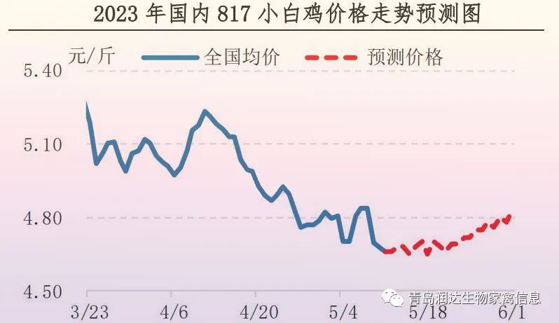 肉雞市場(chǎng)行情匯總
