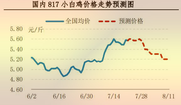 817小白雞