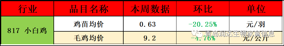 肉雞市場行情匯總