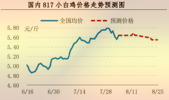 817小白雞