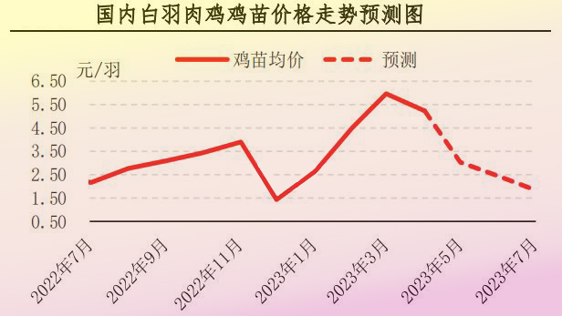 4月肉雞市場行情分析及5月預(yù)測
