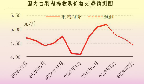 4月肉雞市場行情分析及5月預(yù)測