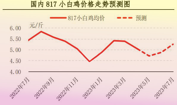4月肉雞市場行情分析及5月預(yù)測