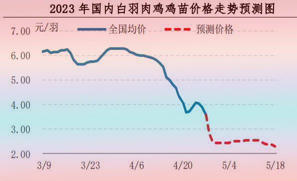 肉雞市場(chǎng)行情匯總
