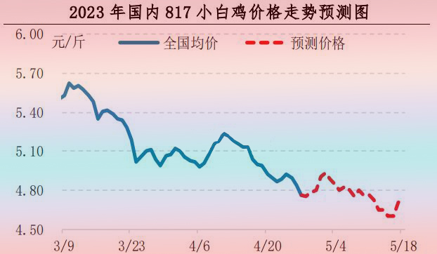 肉雞市場(chǎng)行情匯總