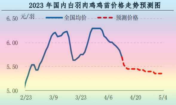肉雞市場行情匯總