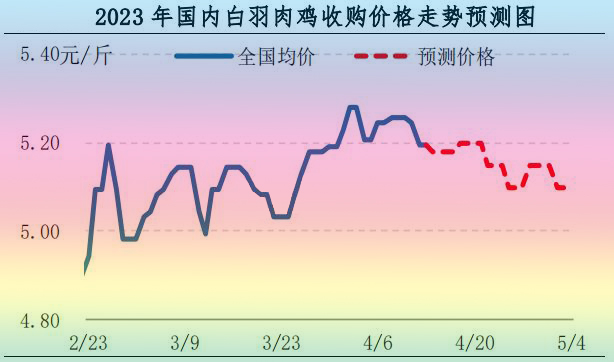 肉雞市場行情匯總