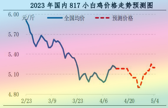 肉雞市場行情匯總