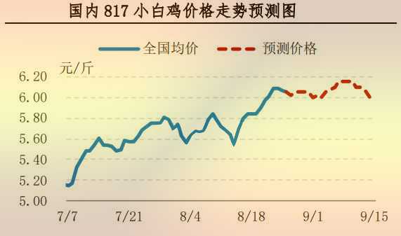 817小白雞