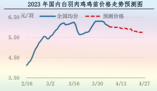 肉雞市場行情匯總