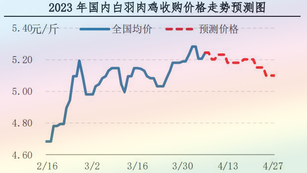 肉雞市場行情匯總