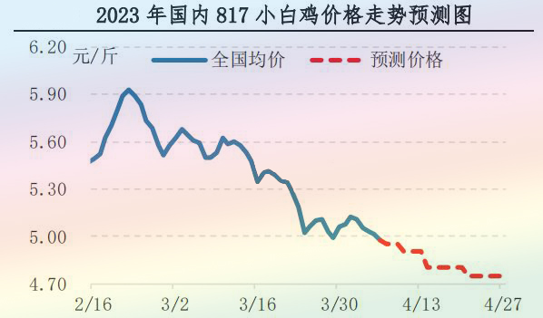 肉雞市場行情匯總