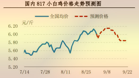 817小白雞