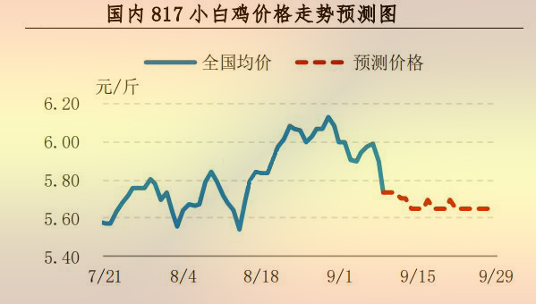817小白雞