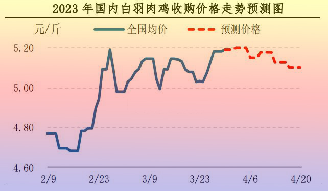 肉雞市場(chǎng)行情匯總