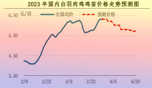 肉雞市場(chǎng)行情匯總