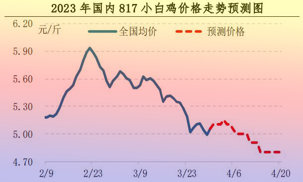 肉雞市場(chǎng)行情匯總