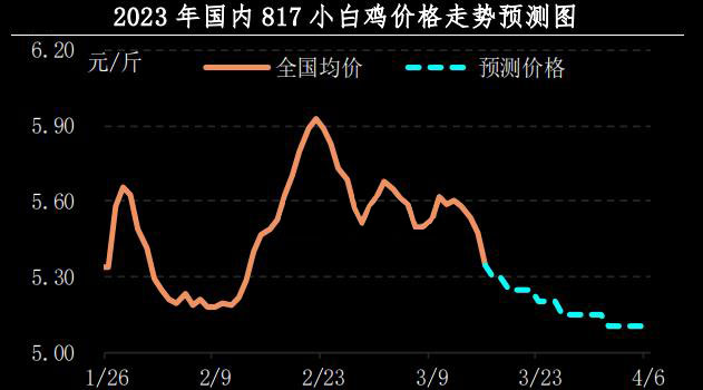 肉雞市場(chǎng)行情匯總