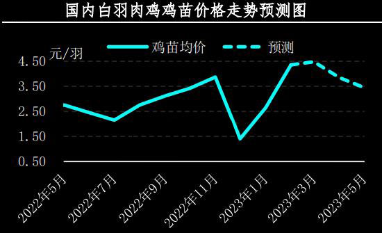 2月肉雞市場行情分析及3月預(yù)測