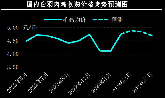 2月肉雞市場行情分析及3月預(yù)測