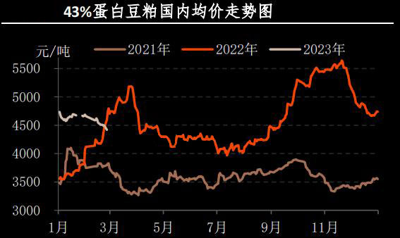 2月肉雞市場行情分析及3月預(yù)測