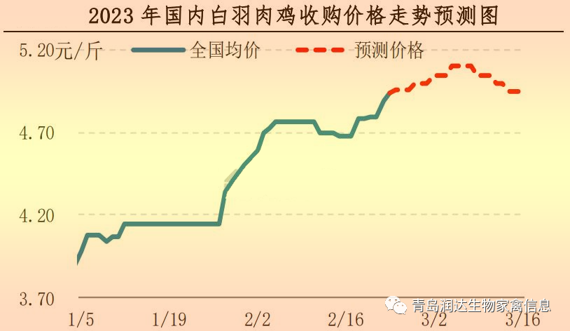 肉雞市場行情匯總