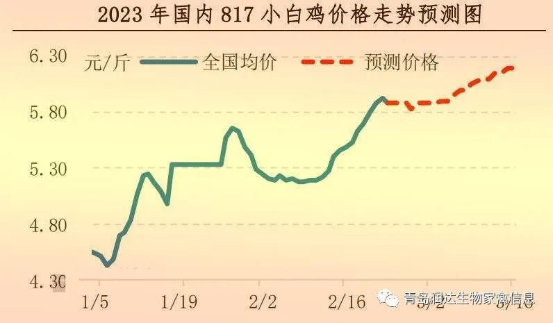 肉雞市場行情匯總