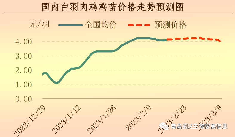 肉雞市場行情匯總
