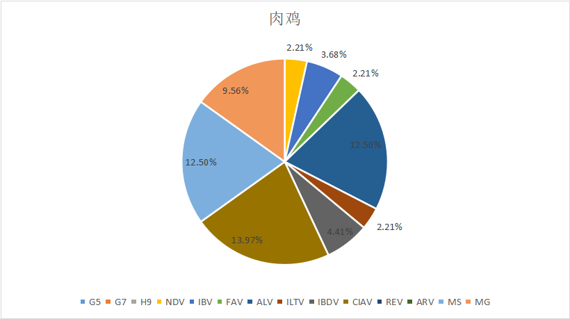 2023年1月白羽肉雞疫病檢測(cè)分析報(bào)告