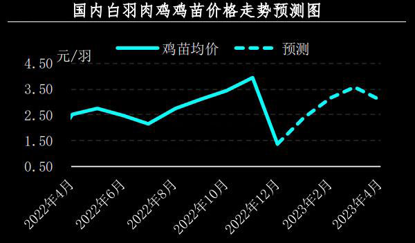 1月肉雞市場(chǎng)行情分析及2月預(yù)測(cè)