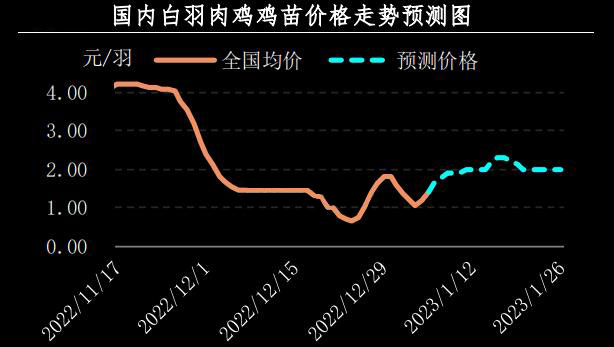 肉雞市場(chǎng)行情匯總