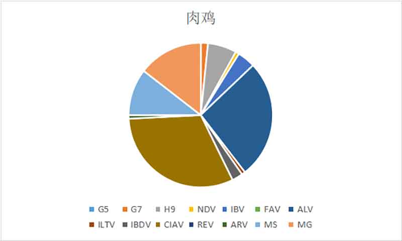2022年12月白羽肉雞疫病檢測分析報告