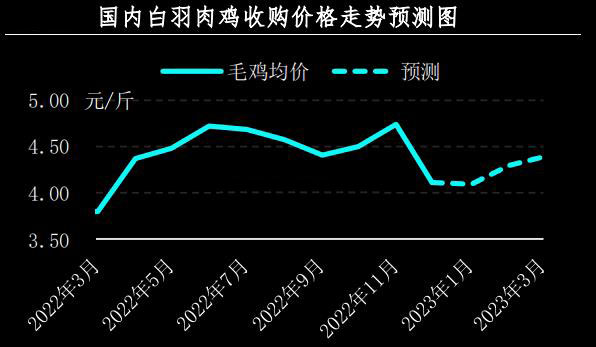 12月肉雞市場行情分析及1月預測