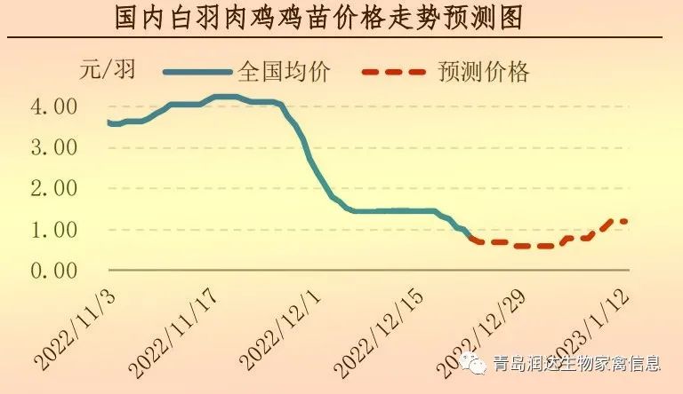 肉雞市場行情匯總