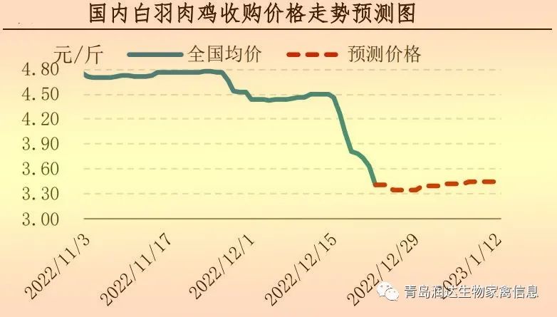 肉雞市場行情匯總