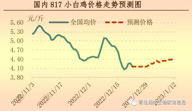 肉雞市場行情匯總
