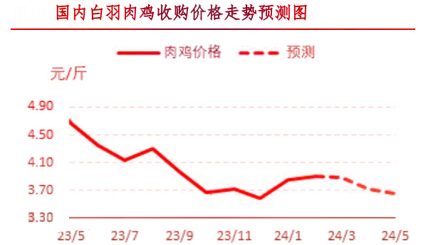 2月肉雞市場(chǎng)行情分析及3月行情預(yù)測(cè)