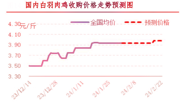 肉雞市場(chǎng)行情匯總