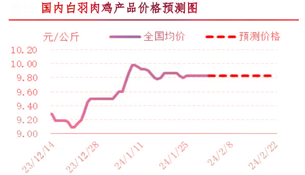 肉雞市場(chǎng)行情匯總