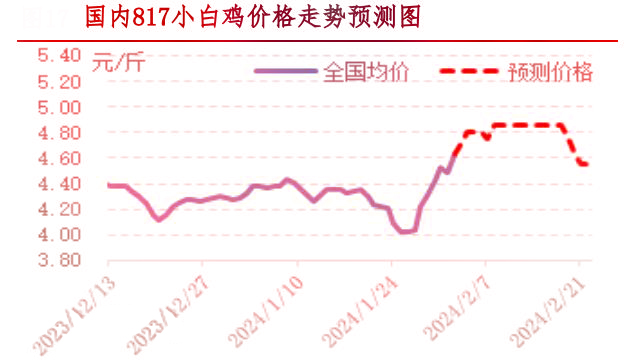 肉雞市場(chǎng)行情匯總