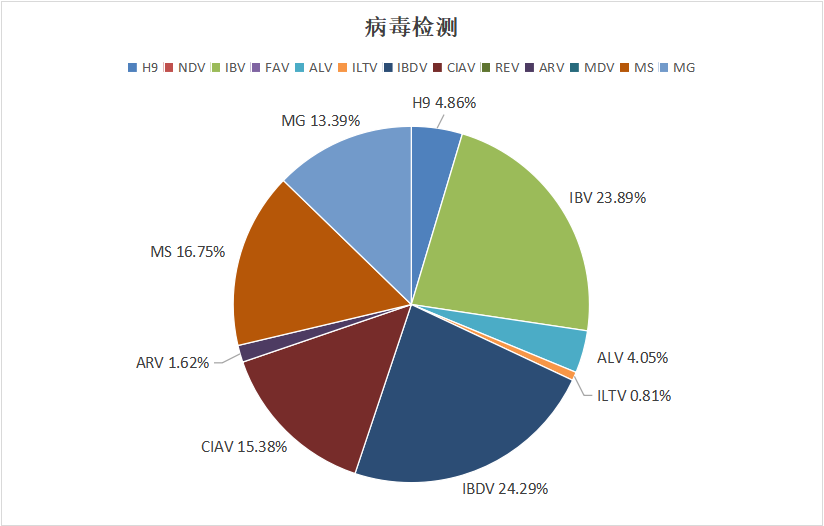2024年1月白羽肉雞疫病檢測分析報告