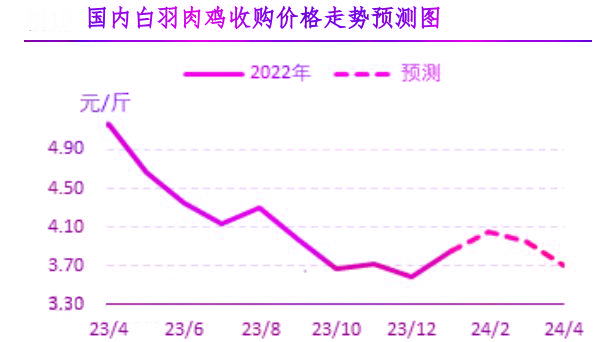 1月肉雞市場行情分析及2月行情預測