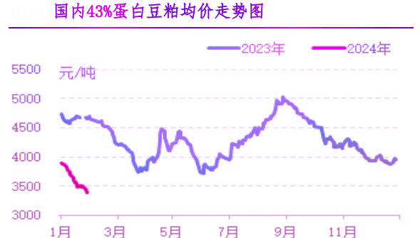 1月肉雞市場行情分析及2月行情預測