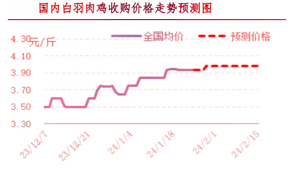 肉雞市場(chǎng)行情匯總