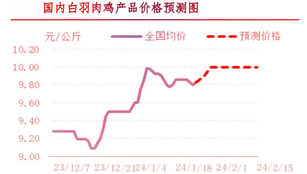 肉雞市場(chǎng)行情匯總