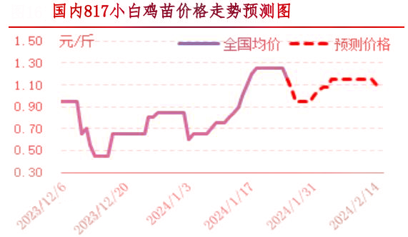 肉雞市場(chǎng)行情匯總