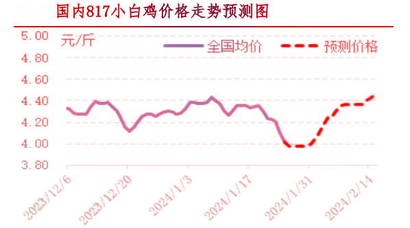 肉雞市場(chǎng)行情匯總