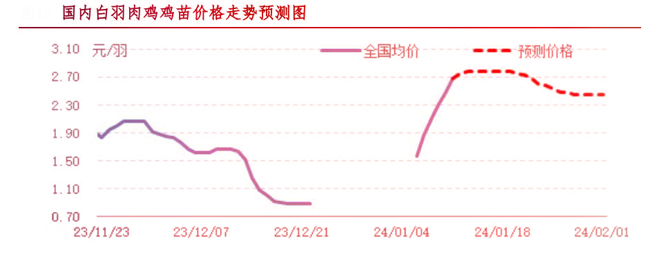 肉雞市場(chǎng)行情匯總