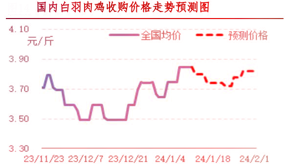 肉雞市場(chǎng)行情匯總